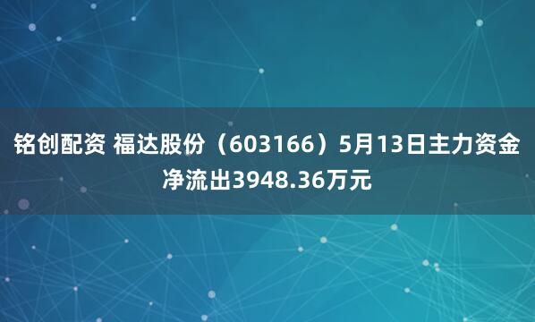 铭创配资 福达股份（603166）5月13日主力资金净流出3948.36万元