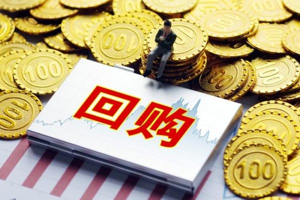 启点配资 港股回购潮持续升温！单日22家企业斥资回购
