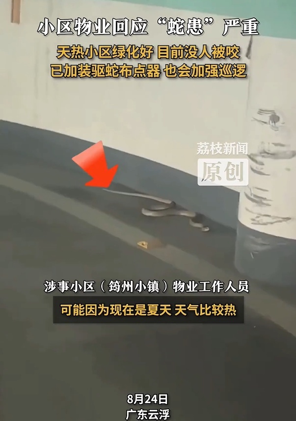 广东一小区“蛇患严重”？社区回应