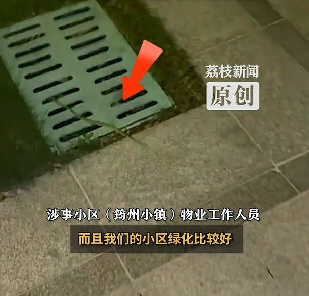广东一小区“蛇患严重”？社区回应 物业已加装驱蛇设备