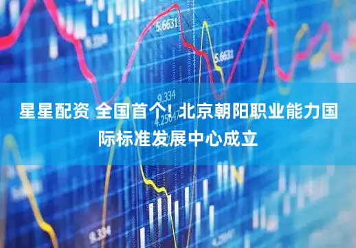 星星配资 全国首个! 北京朝阳职业能力国际标准发展中心成立